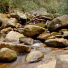 Wrestling Stones